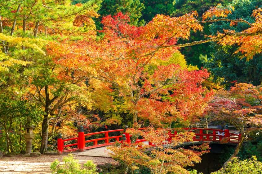 Tháng nào tốt nhất để thăm Nhật Bản?