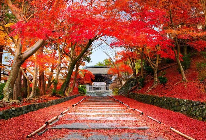Nhật Bản có các khu vực và mùa riêng biệt