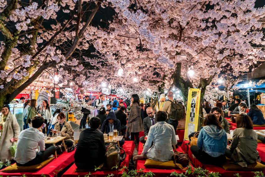 Lễ hội hoa anh đào Nhật Bản 
