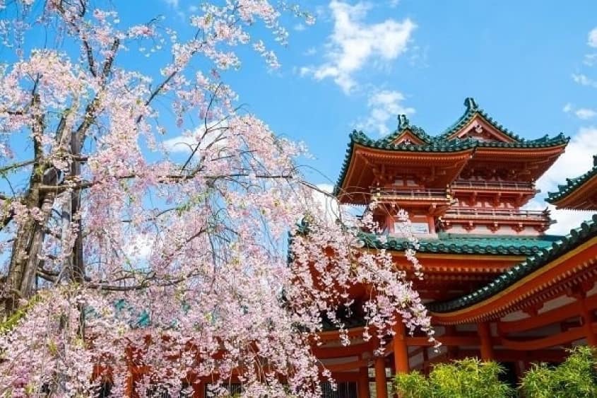 Địa điểm trải nghiệm Hanami  đẹp nhất Nhật Bản