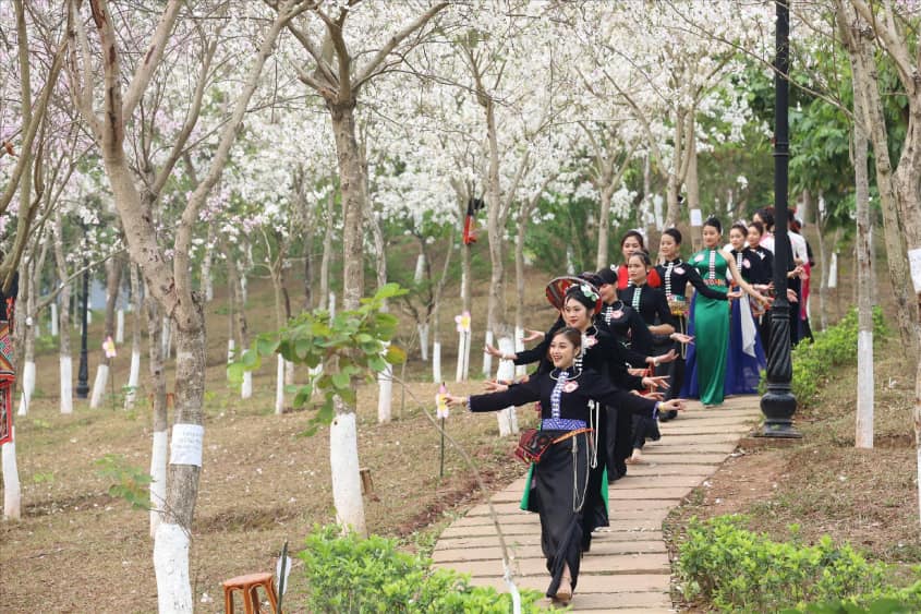 Lễ hội hoa ban ở Sơn La