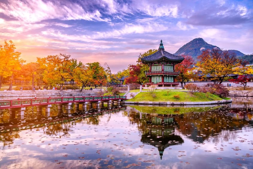Đến Hàn Quốc vào thời điểm nào đẹp nhất ?
