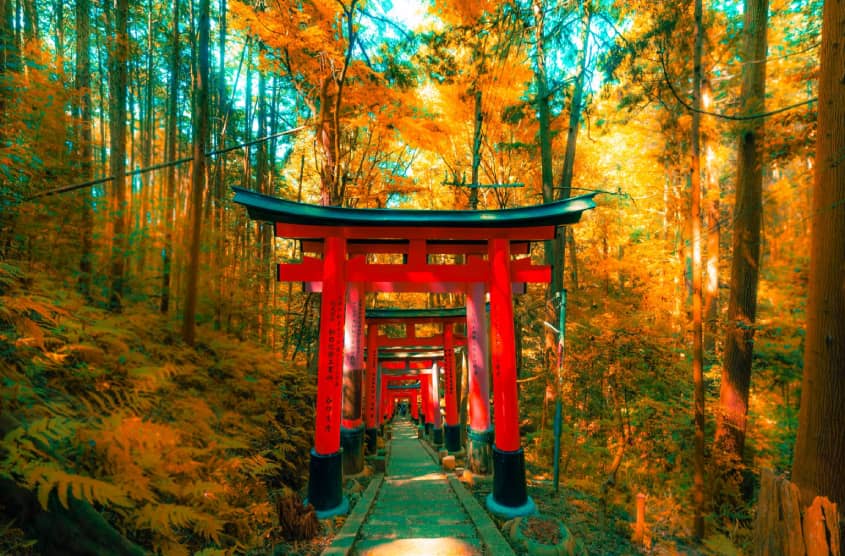 Cổng torii kiểu Myojin