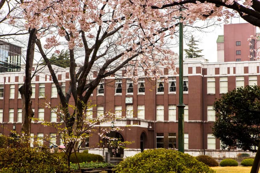 Đại học Seikei Nhật Bản 