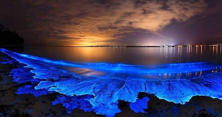 bãi biển phát sáng Maldives