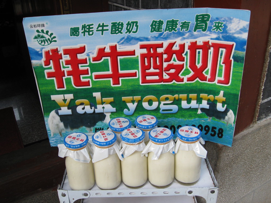Sữa chua Yak - từ loại bò đặc trưng của Lệ Giang