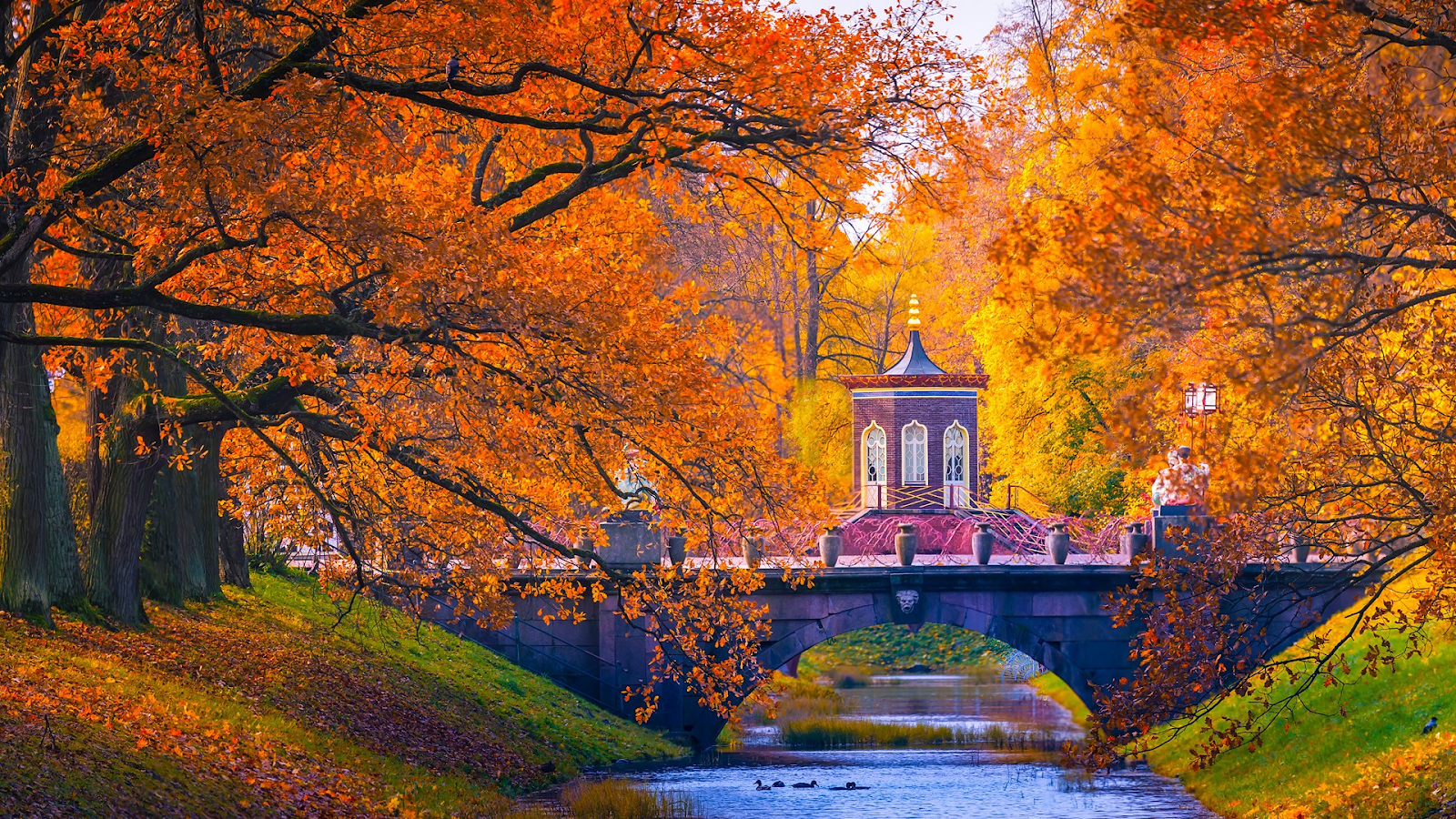 Mùa thu tại Saint Petersburg là điểm nhấn không thể bỏ qua