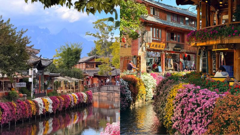 Cảnh sắc thơ mộng tại mùa hè Lệ Giang