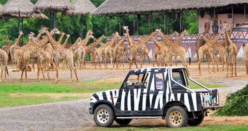 Safari World Thái Lan