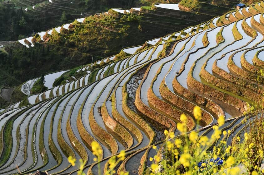 Ruộng bậc thang Long tích